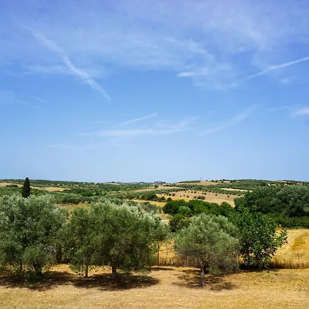 Дом отдыха Theros