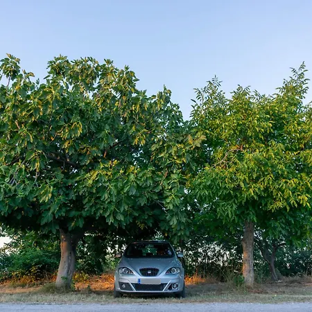 Case de vacanță Theros
