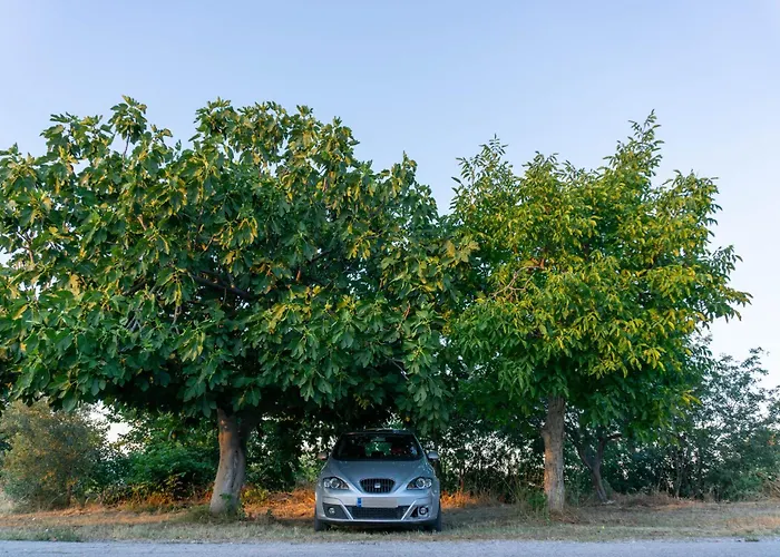 Casa de Férias Theros